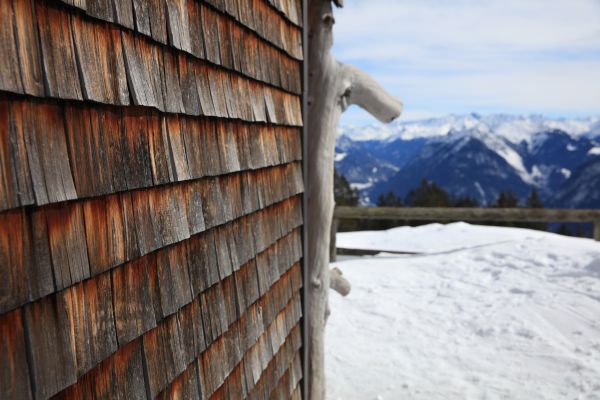 Cedar Siding Repair in Saint Peters
