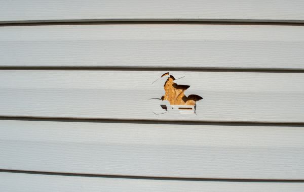 Siding Hole Repair in Saint Peters