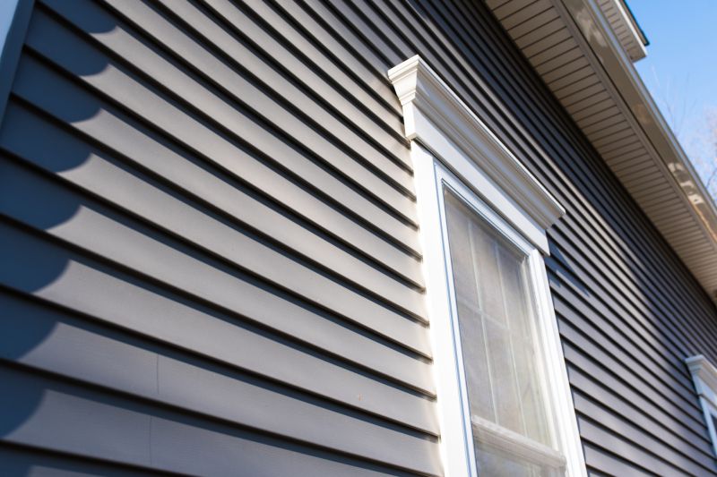 Close-Up of Vinyl Siding Details